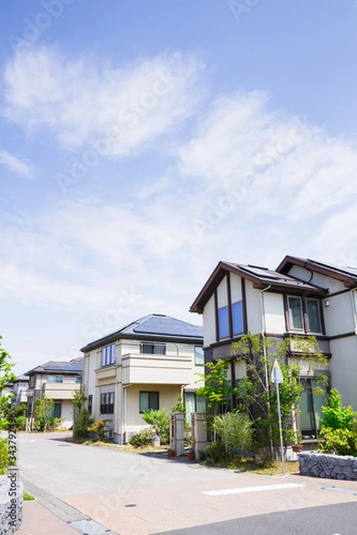 Fototapeta 新興住宅　一戸建