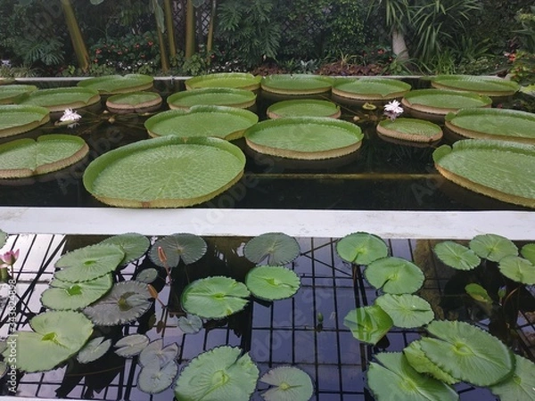 Obraz Park we Wloszech