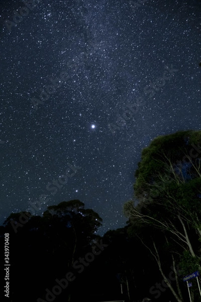 Fototapeta night sky with stars