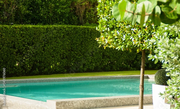 Obraz stylish Garden with swimming pool