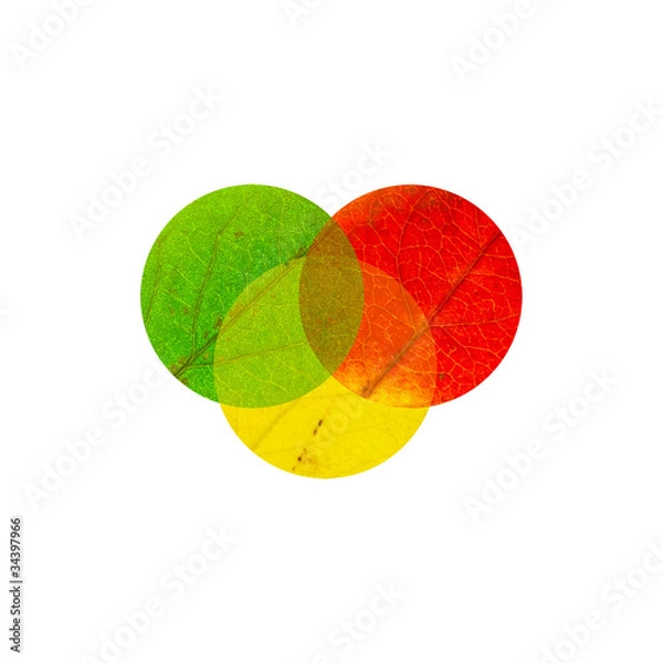 Obraz 3 intercrossed circles