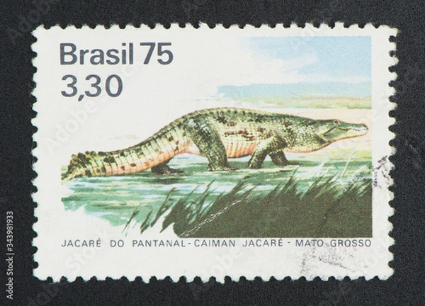 Obraz postage stamp