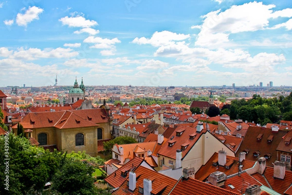 Obraz Orange Painted Roofs