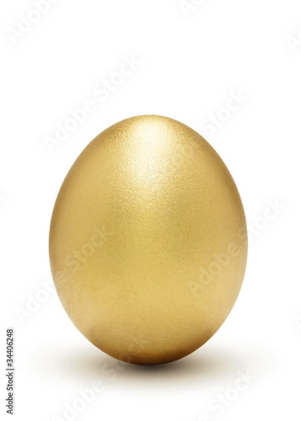 Obraz Golden egg, a symbol of profit
