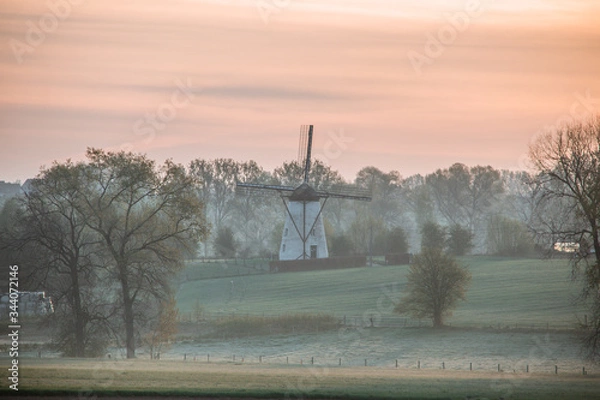 Fototapeta winter landscape with a tree