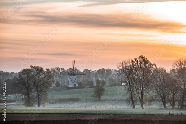 Obraz sunset in the winter