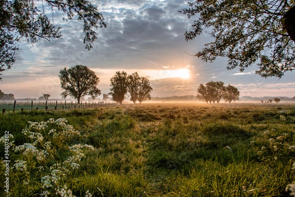Obraz sunset in the field