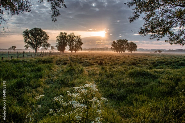Obraz sunset in the field