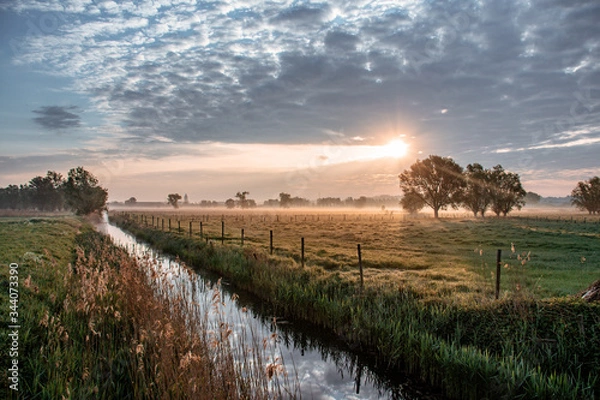 Fototapeta sunset over the field