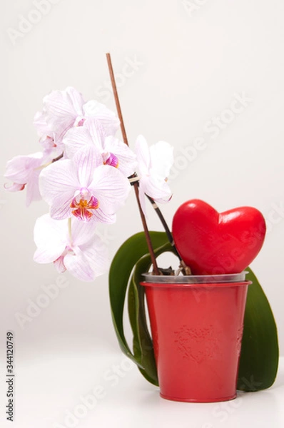 Obraz Mothers day picture