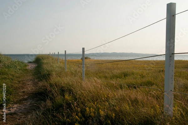 Fototapeta fence on the beach