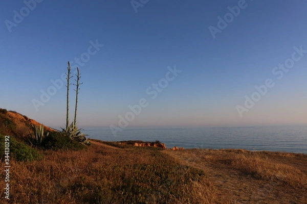 Obraz sunset over the sea