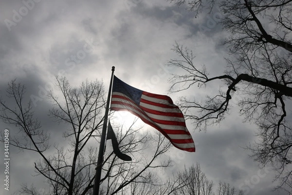 Obraz Patriotic flag