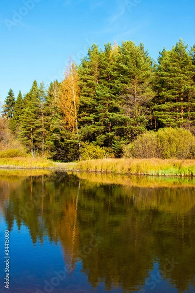 Fototapeta Beautiful nature, autumn.