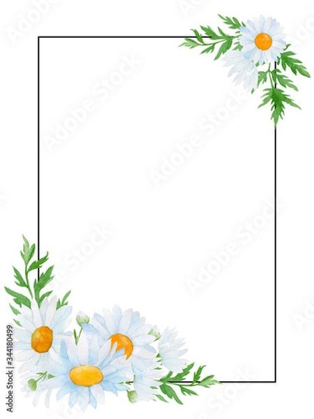 Obraz daisy flowers frame