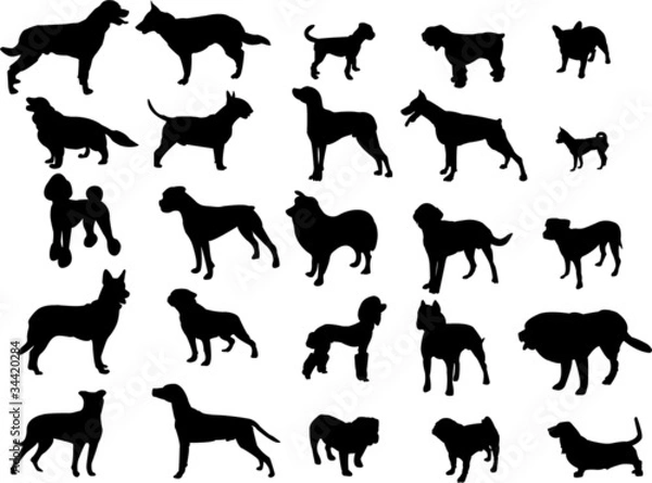 Obraz dogs silhouette collection - vector