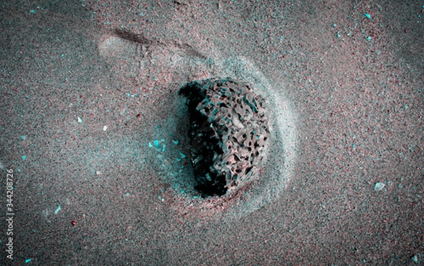 Obraz 
coral by the beach