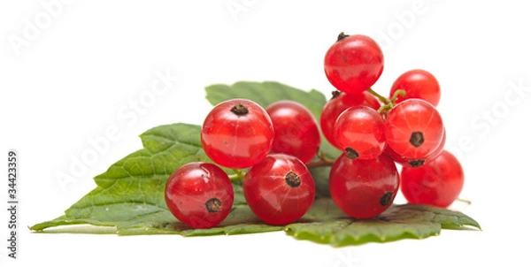 Fototapeta Red Currant close up