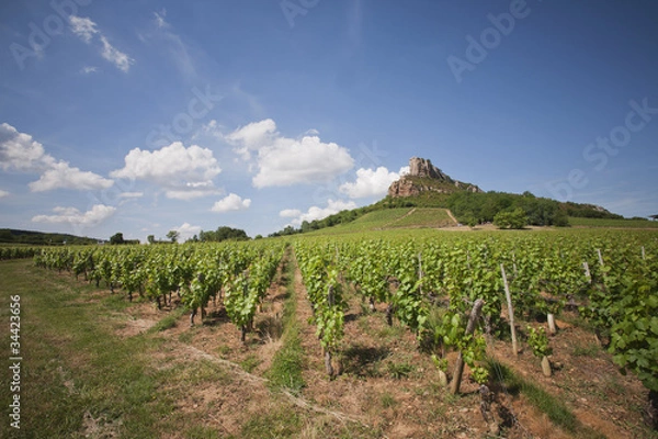 Obraz Pouilly Fuissé