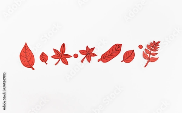 Obraz Leaf Set. Hand-drawn decorative elements, doodle floral elements. Black line ink hand drawn art. White background ready for copywriting. Perfect for invitations, greeting cards, posters, prints.