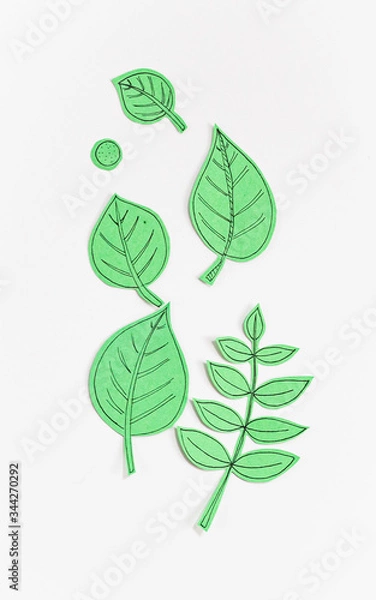 Obraz Leaf Set. Hand-drawn decorative elements, doodle floral elements. Black line ink hand drawn art. White background ready for copywriting. Perfect for invitations, greeting cards, posters, prints.