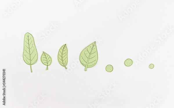 Obraz Leaf Set. Hand-drawn decorative elements, doodle floral elements. Black line ink hand drawn art. White background ready for copywriting. Perfect for invitations, greeting cards, posters, prints.