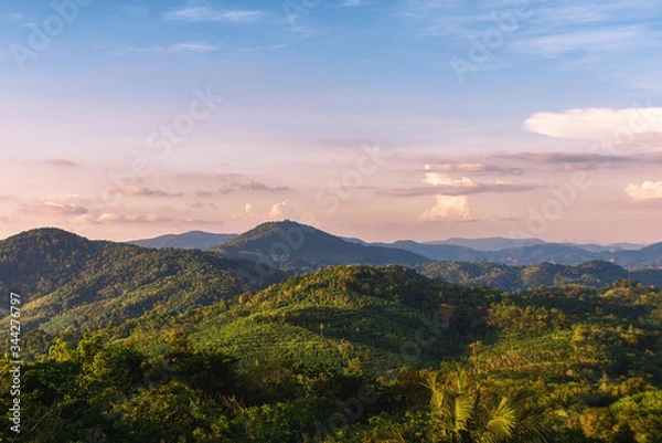 Fototapeta Tropical landscape. Sunset in the mountains. Palm trees and trees on the mountain slopes.
