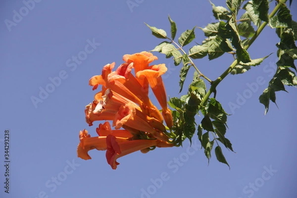 Obraz Ronda, Spanien