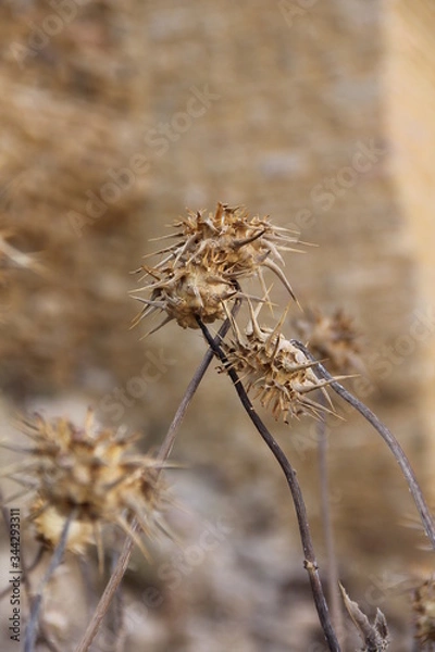 Fototapeta Ronda, Spanien