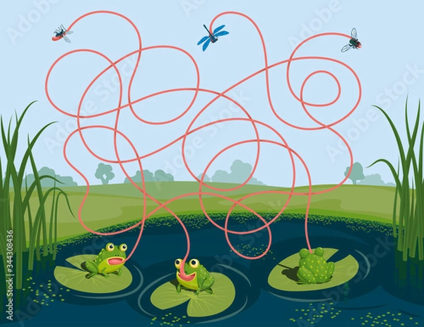 Fototapeta Three frogs caught a mosquito, a fly and a dragonfly. Guess which of them managed to catch which insect. Children's game picture riddle with a maze