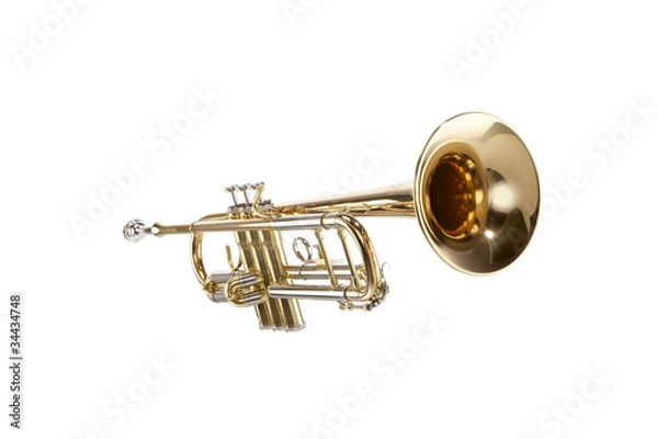 Obraz Trumpet