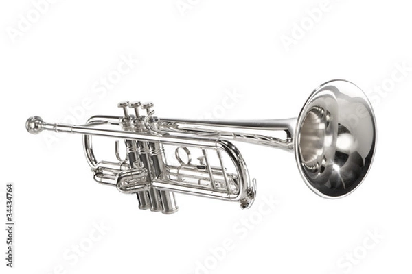 Obraz Silver Trumpet