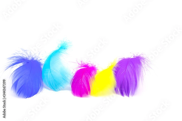 Fototapeta Beautiful colorful feather