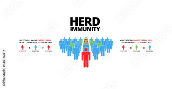 Fototapeta Group of people with Herd immunity text.Concept of herd immunity or a group of people who are infected with the infected person as a virus spread in society.Vector illustration.Flat style infographic.