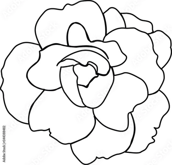 Fototapeta one line continuous drawing beautiful rose flower