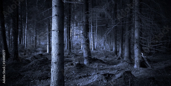 Obraz Upiorny las