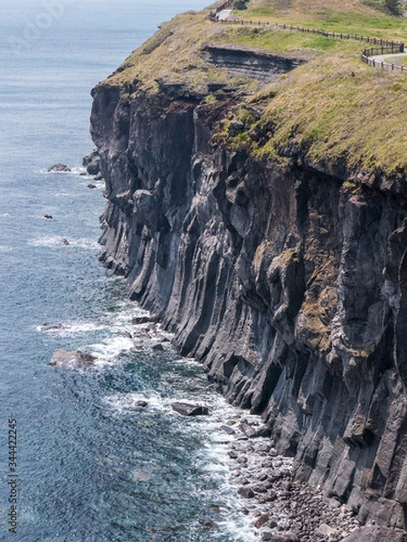 Obraz 제주 송악산 봄풍경