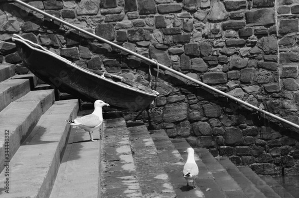 Obraz Two pigeons just hanging about