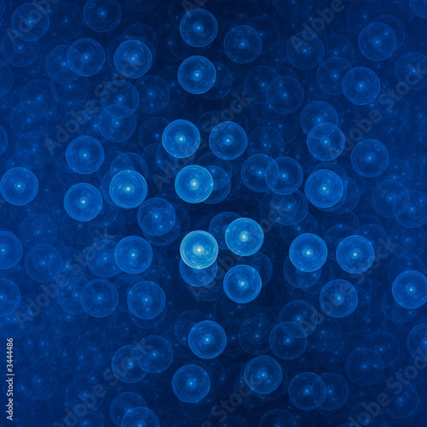 Obraz egg cells
