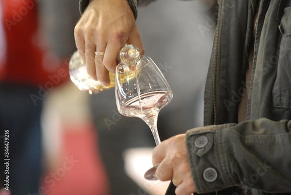 Obraz dégustation de vin blanc