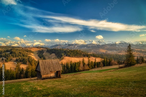 Fototapeta Wiosenna panorama z Gliczarowa Górnego na Tatry