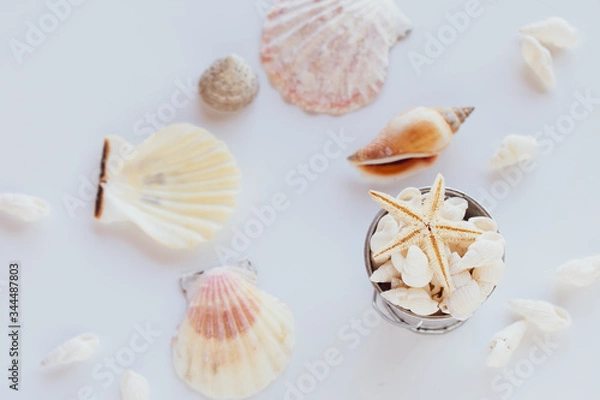 Fototapeta たくさんの貝殻