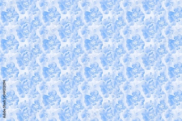 Fototapeta Floral background with blue carnation flowers pattern