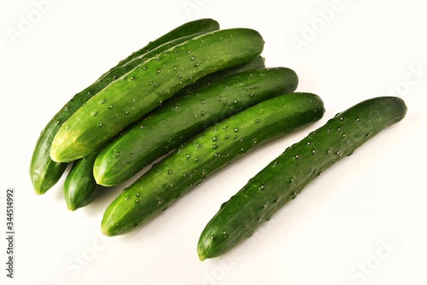 Obraz 白背景の胡瓜