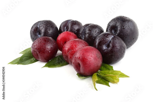 Obraz Plums and leaves