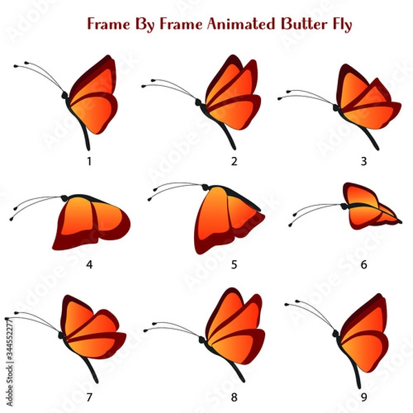 Obraz Butter fly Vector Illustration, Frame by Frame Animated Butterfly editable source file
