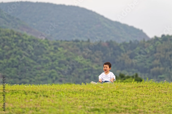 Fototapeta A little boy sitting on the grass