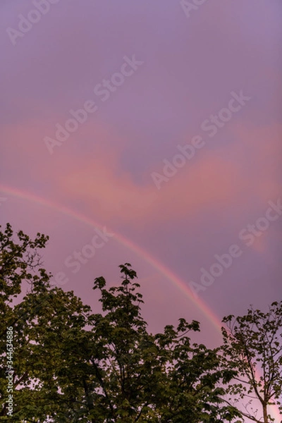 Obraz regenbogen baum wolken