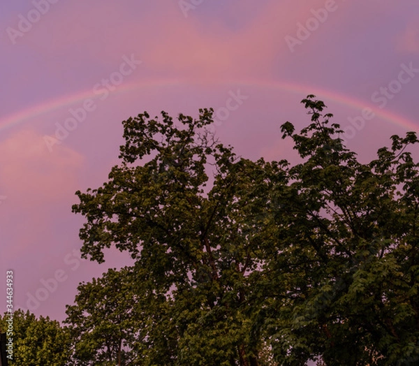 Obraz regenbogen baum wolken