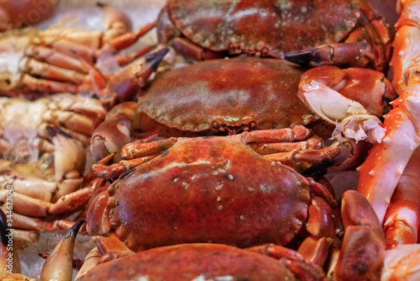 Obraz Crabs seafood on the market, food background